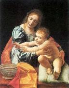 BOLTRAFFIO, Giovanni Antonio The Virgin and Child 1 Spain oil painting artist